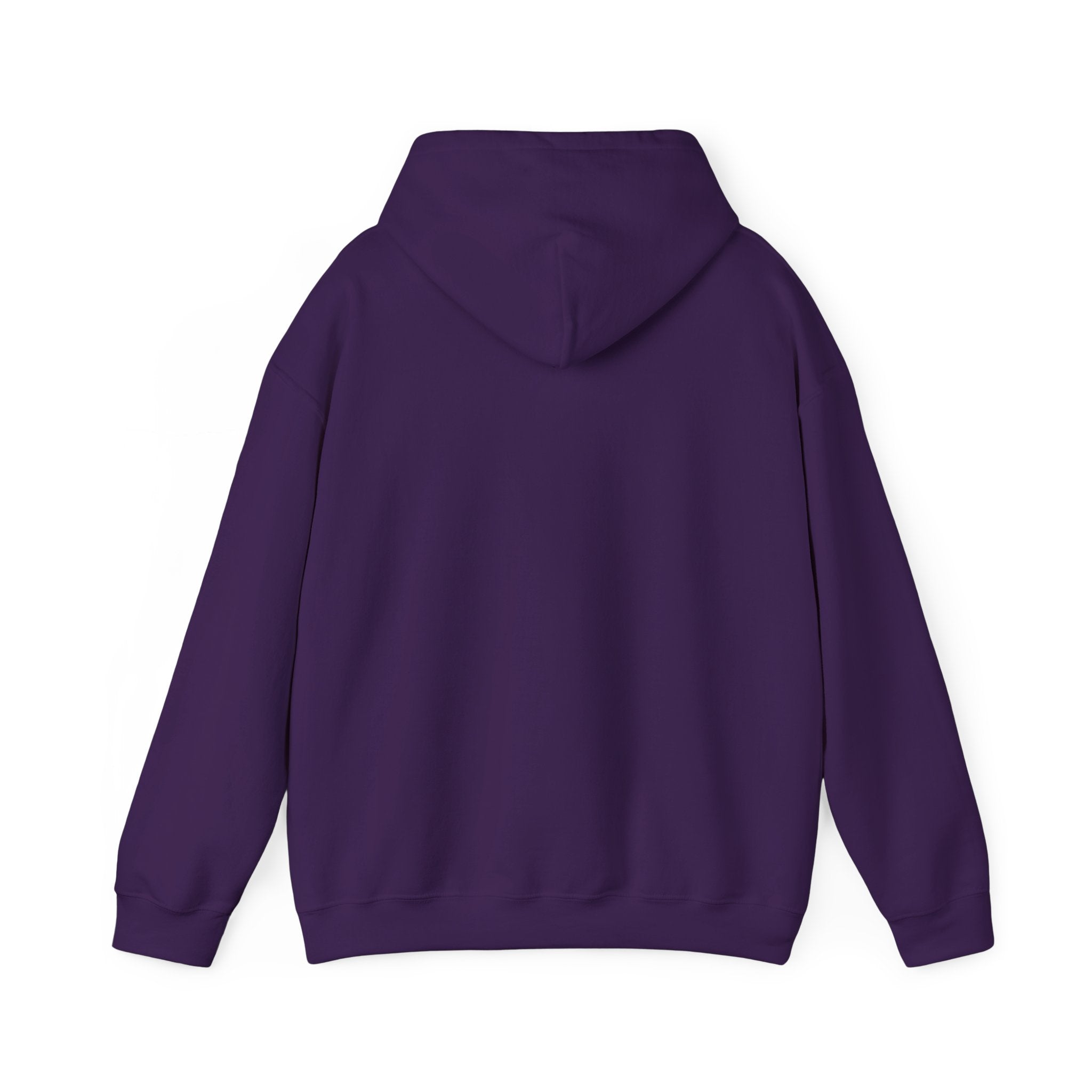 FC Arts Collab-Hi, Hi Hoodie