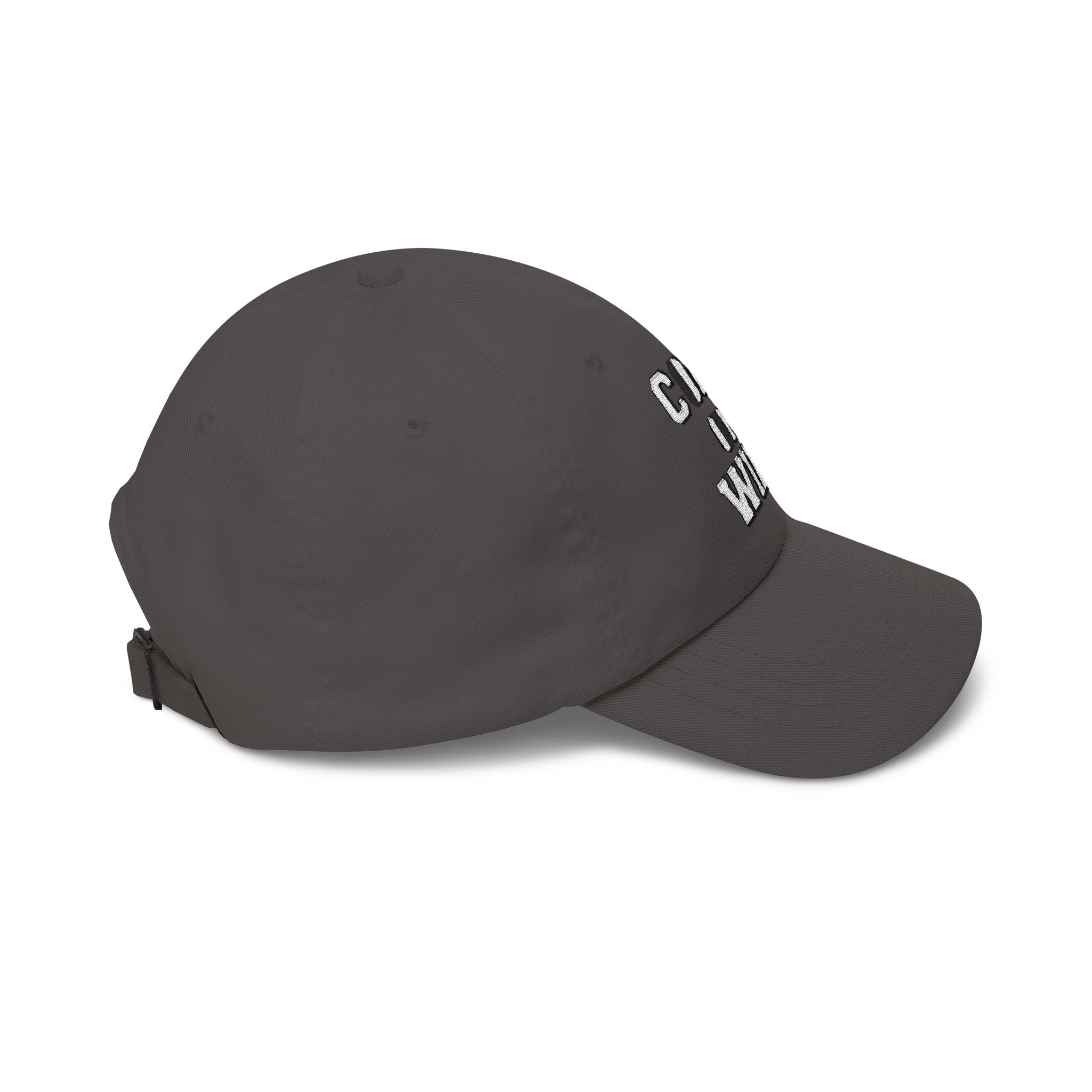 FC Arts Collab come on wing baseball hat