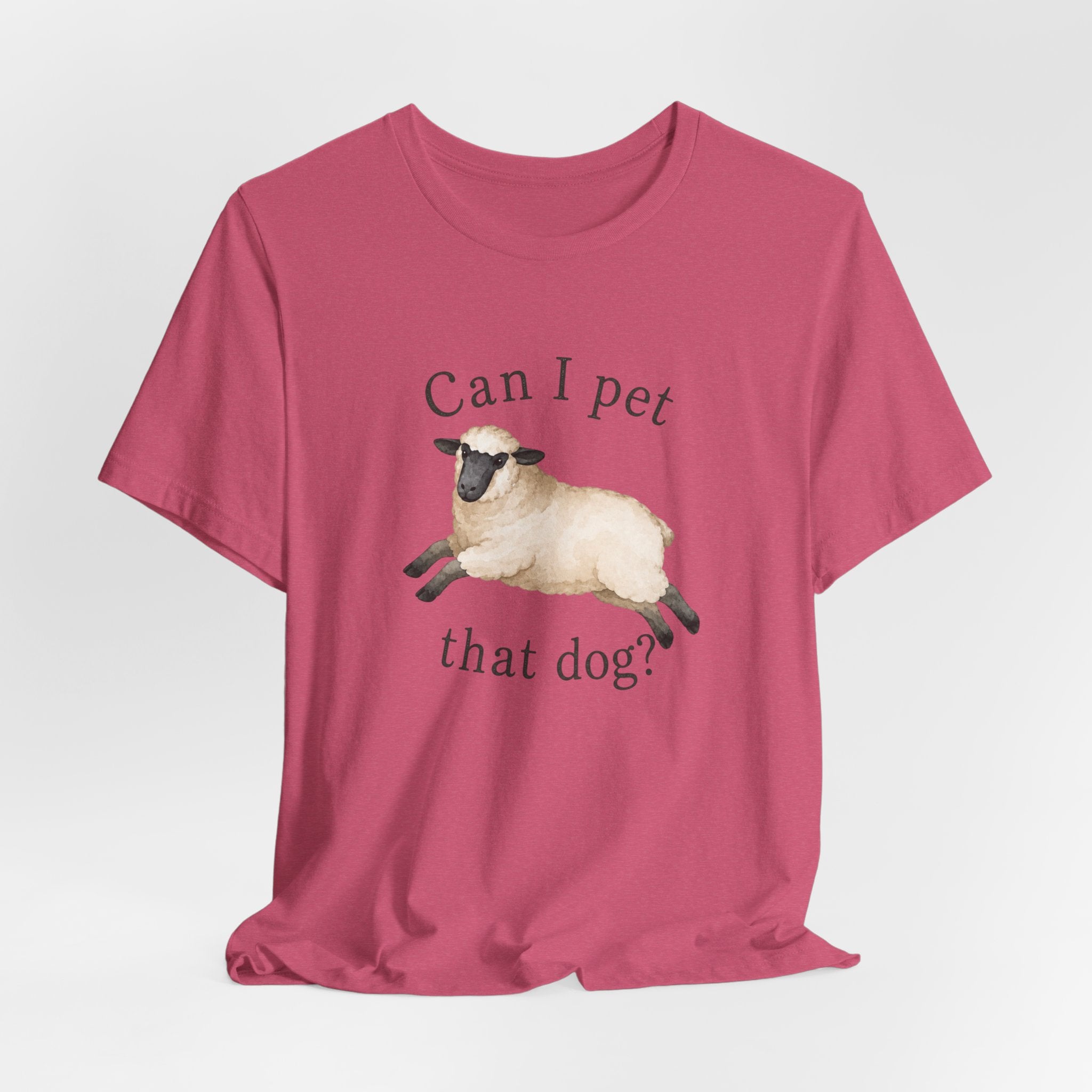 Can I Pet Tee