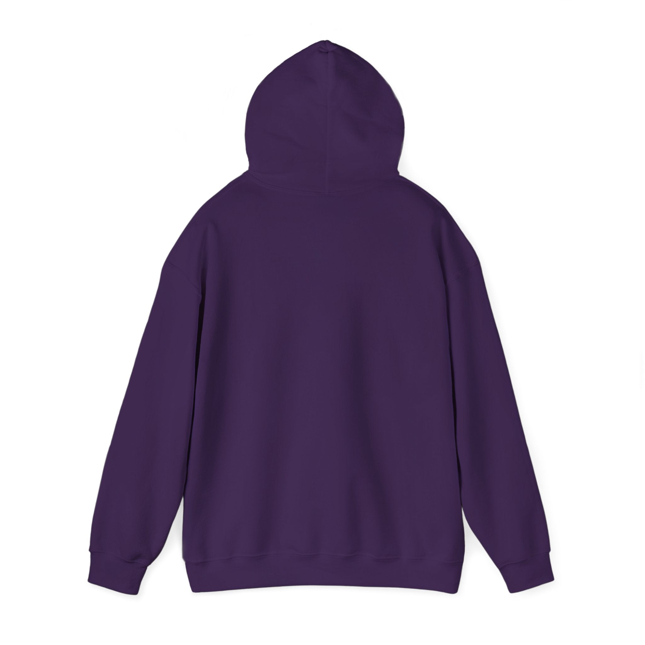 FC Arts Collab-Hi, Hi Hoodie