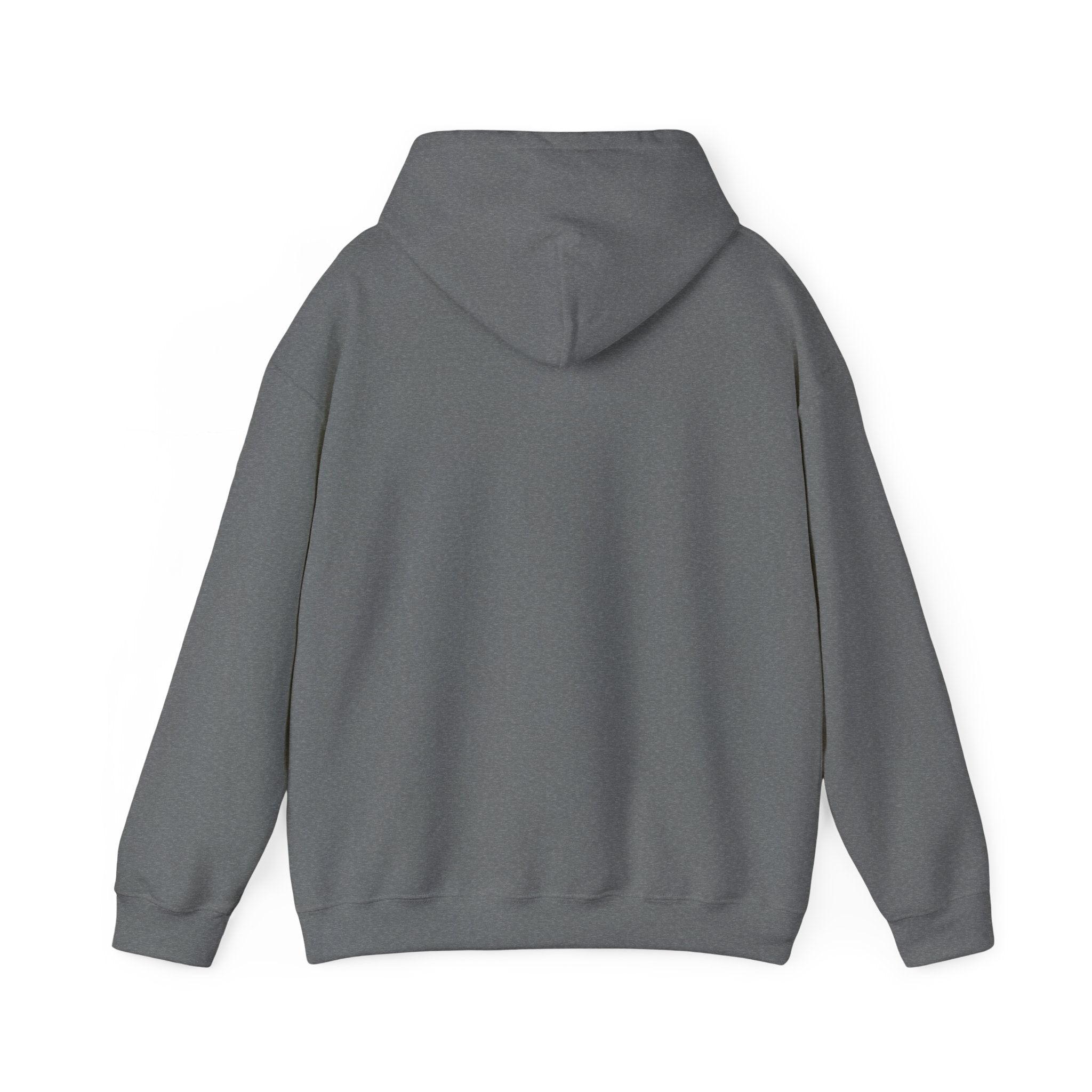 FC Arts Collab-Aliens Hoodie