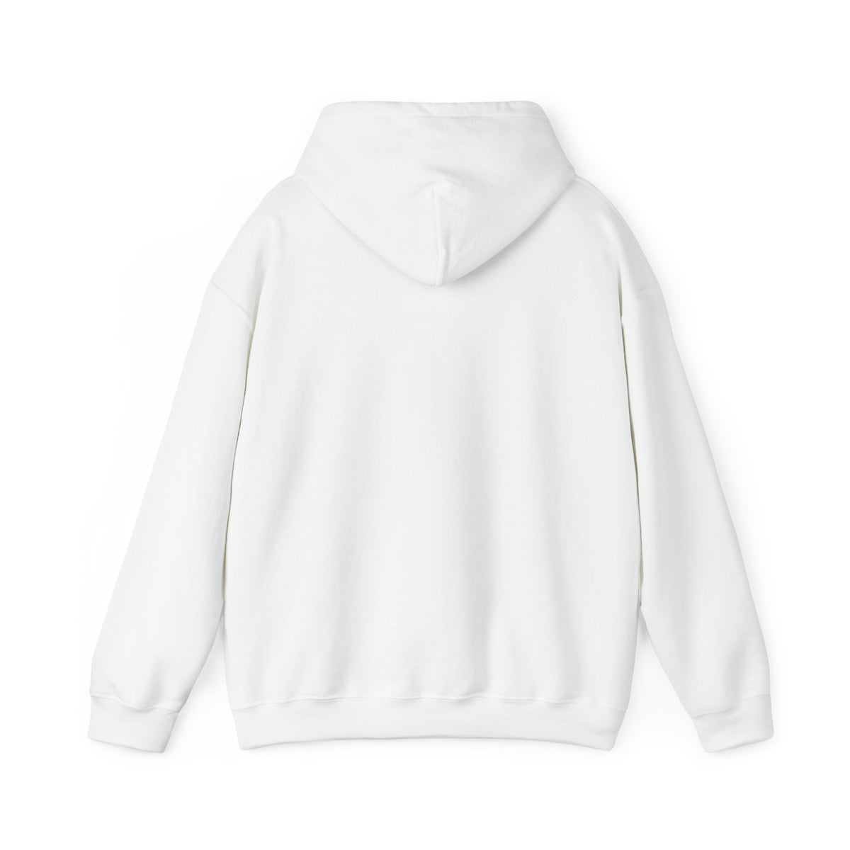 FC Arts Collab-come on wing hoodie